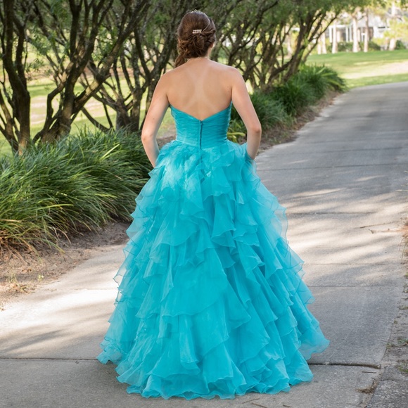 Prom/Quince/Pagent Dress - Picture 7 of 8